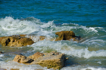 USA, Florida. Coquina rock formations on Atlantic Ocean beach.
