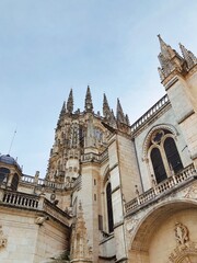 Fototapeta premium Created with RNI Films app. Preset 'Fuji Astia 100F'