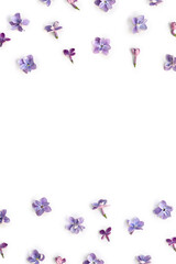 Frame of violet blue flowers lilac ( Syringa vulgaris ) on a white background with space for text. Spring flowers. Top view, flat lay