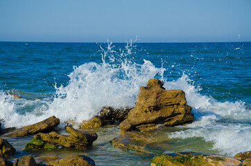 USA, Florida. Coquina rock formations on Atlantic Ocean beach. © Danita Delimont