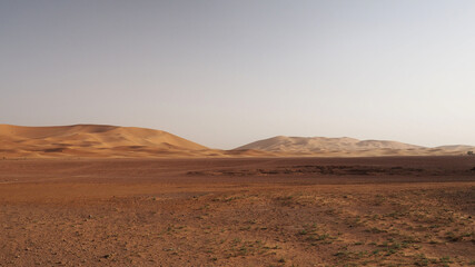 Sahara desert barkhan dune at sunset. View of sand dunes in Erg Chebbi in Sahara desert, Morocco.