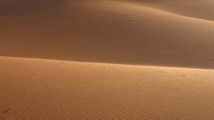Naklejka premium Sand background and wave pattern on the sand as texture in the foreground. 