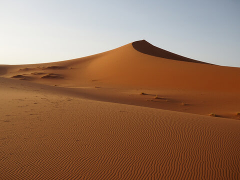 Sahara desert barkhan dune at sunset. View of sand dunes in Erg Chebbi in Sahara desert, Morocco.