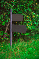 black pointers on the pole