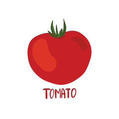 Red juicy tomato, organic vegetable. Hand drawn, vector illustration, cartoon style
