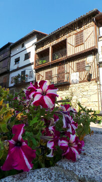 paintings of people on the walls of the houses in the town of Mogarraz.