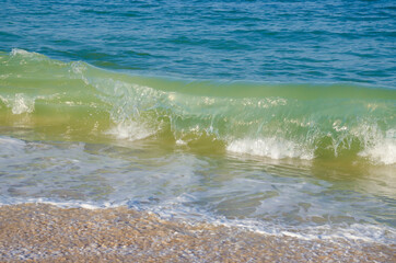 USA, Florida. Ocean waves and surf.