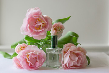Composition from jars of perfumery with spring flowers, pink tulips on a white background. Beautiful background, mockup for perfumery.