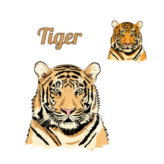 Head of tiger. Two nature tones.