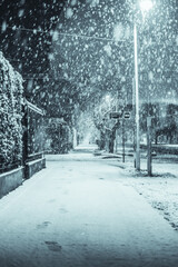 snow covered road