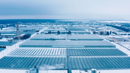 Aerial side view of large industrial greenhouses for growing plants in winter. light pollution. winter day at sunset. Flying along modern plantation glasshouse area. growing plants vegetables flowers