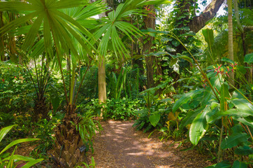 USA, Florida. Tropical garden.