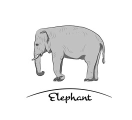 Walking elephant. Hand made.Gray tone.