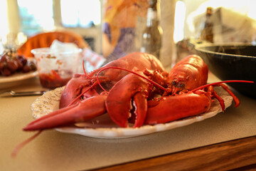 Lobsters are ready.