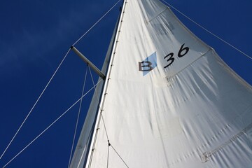 sailing on the sea
