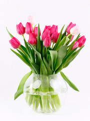 Dunkelrosa und hellrosa Tulpen in einer Glasvase vor weißem Hintergrund