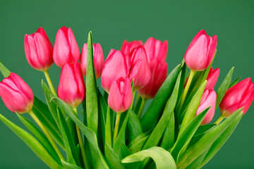 Rote Tulpen isoliert vor grünem Hintergrund