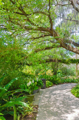 USA, Florida. Tropical garden with palm trees and living oak covered in Spanish moss.