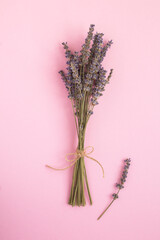 Dry lavender flowers on the pink background. Location vertial.