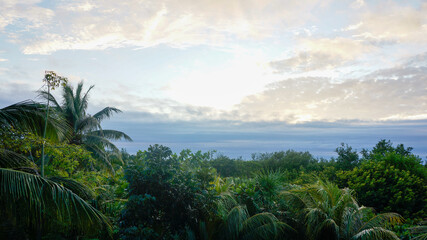 sunset with blue clouds over jungle