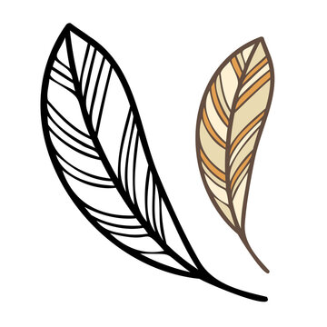 recommend clip art: Isolated vector black and white illustration design with abstract geometric feather shapes