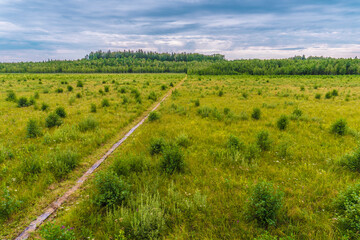 Landscape view of a bog with wooden path through