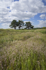 Beautiful landscape with difficult terrain on a sunny day