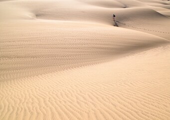 Fototapeta na wymiar Landscape photo of person walking in desert