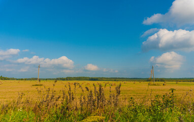 A field with straw bales after harvest on the sky background