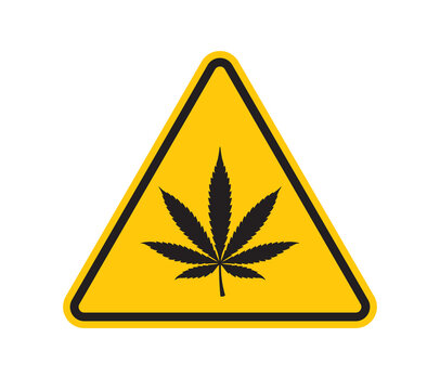 Vector yellow triangle sign - black silhouette marijuana leaf. Isolated on white background. 