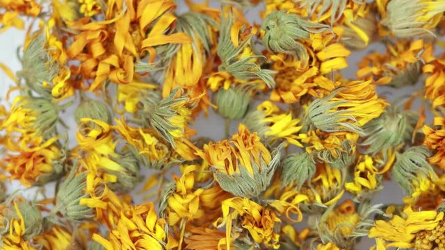 Rotating dry calendula flowers - close up view.