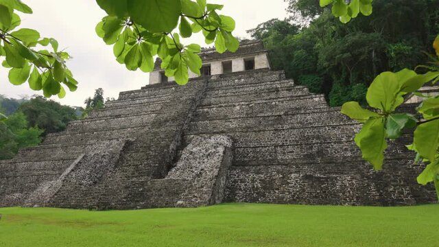Mayan Ruins Palenque in Mexico. Camera pans out of the shadow of tree in the ancient Mayan pyramid. Palenque, Chiapas, Mexico
