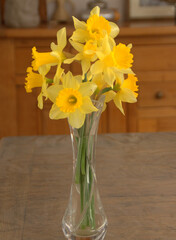 bouquet de jonquilles  de printemps dans la maison 