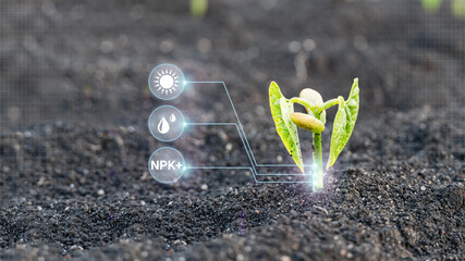 Smart farm 4.0 technology of monitoring the growth of sprougt crop plants with design infographics. Innovation technology for agriculture