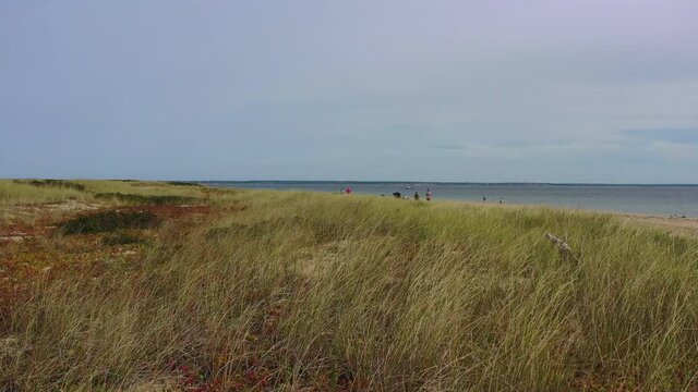 Drone flying backward from people by green plants at beach against sky on sunny day - Cape Cod, Massachusetts