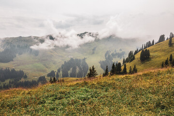 Austrian Alps in the morning fog