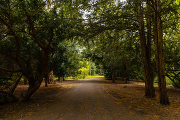 Long path with trees and bushes and benches on side