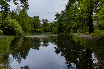 Fototapeta premium High old trees and bushes around small pond with reflection in water