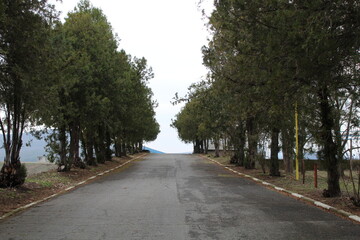 road in the park