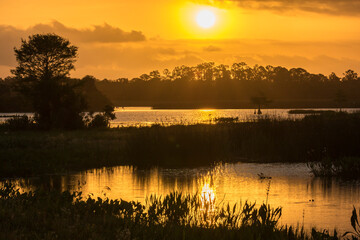 Fototapeta na wymiar USA, Florida, Orlando Wetlands Park. Sunrise on lake and forest.