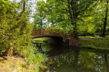 Fototapeta na wymiar Small wooden bridge in old park full of trees and bushes