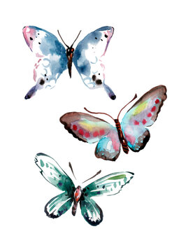 watercolor hand drawn set of butterflies