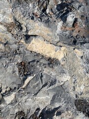 texture of a rock