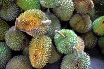 Naklejka na ściany i meble Durian fruit - durian fruit in large quantities, durian fruit in the market, durian fruit in a basket