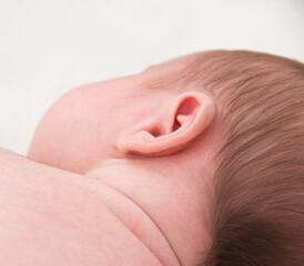 Fototapeta premium The back of the newborn's head