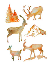 watercolor hand drawn set of the deer