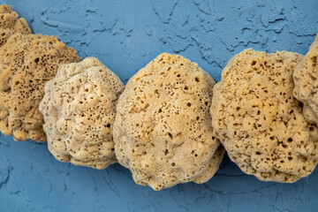 Natural sponge, Tarpon Springs, Florida, USA
