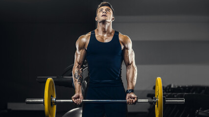 Handsome strong athletic men pumping up muscles workout fitness and bodybuilding concept background - muscular bodybuilder fitness men doing arms abs back exercises in gym naked torso.