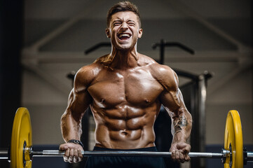 Naklejka na ściany i meble Handsome strong athletic men pumping up muscles workout fitness and bodybuilding concept background - muscular bodybuilder fitness men doing arms abs back exercises in gym naked torso.