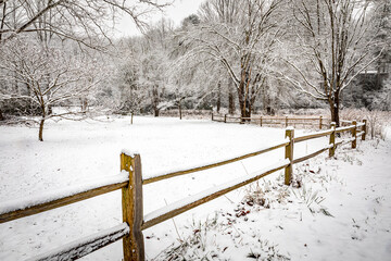 Fence line, meadow and trees covered in freshly falling snow